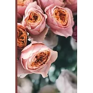 Roses in bloom journal