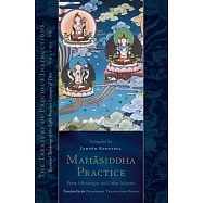 Mahasiddha Practice: From Mitrayogin and Other Masters, Volume 16 (the Treasury of Precious Instructions)