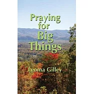 Praying for Big Things: Using God&rsquo;&rsquo;s Word to Guide in Praying for the BIG Issues in Our World