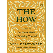 The How: Notes on the Great Work of Meeting Yourself