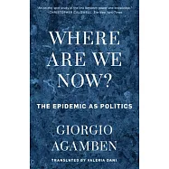 Where Are We Now?: The Epidemic as Politics