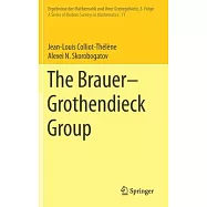 The Brauer-Grothendieck Group