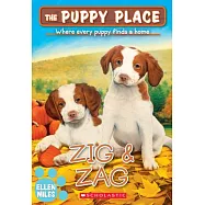 Zig & Zag (the Puppy Place #64)