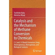 Catalysis and the Mechanism of Methane Conversion to Chemicals: C-C and C-O Bonds Formation Using Heterogeneous