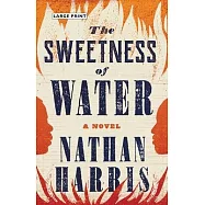 The Sweetness of Water