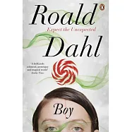 Boy: Tales of Childhood