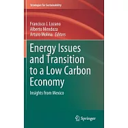 Energy Issues and Transition to a Low Carbon Economy: Insights from Mexico