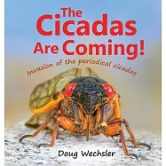 The Cicadas Are Coming!