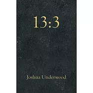 13: 3