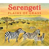 Serengeti: Plains of Grass