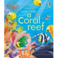 偷偷看一下翻翻書：珊瑚礁(3歲以上)Peep Inside a Coral Reef