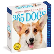 365 Dogs Color Page-A-Day(r) Calendar 2022