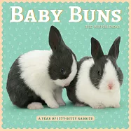 Baby Buns Mini Calendar 2022