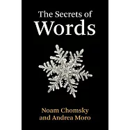 The Secrets of Words