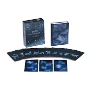 哈利波特：護法珍藏組(夜光牌卡+筆記本+貼紙)Harry Potter Patronus Guided Journal and Inspiration Card Set