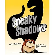 Sneaky Shadows