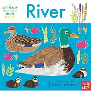 Animal Families: River