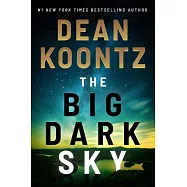The Big Dark Sky