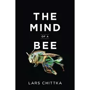 The Mind of a Bee