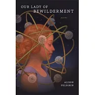 Our Lady of Bewilderment: Poems