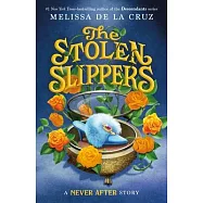 Never After: The Stolen Slippers