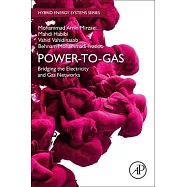 Power-To-Gas: Bridging the Electricity and Gas Networks