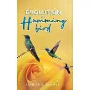 Evolution of Hummingbird