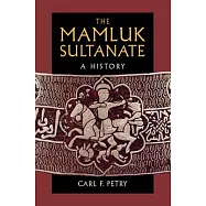 The Mamluk Sultanate: A History