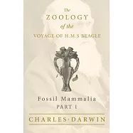 Fossil Mammalia - Part I - The Zoology of the Voyage of H.M.S Beagle
