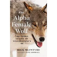 The Alpha Female Wolf: The Fierce Legacy of Yellowstone’’s 06
