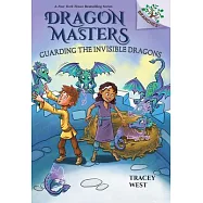 Guarding the Invisible Dragons