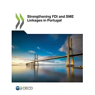 Strengthening FDI and Sme Linkages in Portugal