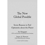 The New Global Possible: Seven Reasons to Feel Optimistic about the Planet
