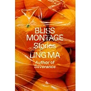 Bliss Montage: Stories