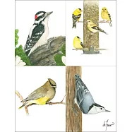 Backyard Birds Boxed Notecard Assortment