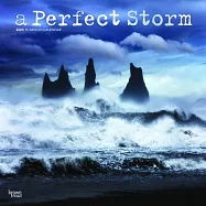 A Perfect Storm 2023 Square Foil