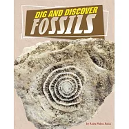 Dig and Discover Fossils