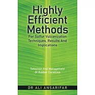 Highly Efficient Methods for Sulfur Vulcanization Techniques, Results and Implications: Selection and Management of