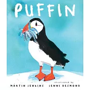 Puffin