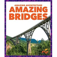 Amazing Bridges