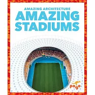 Amazing Stadiums