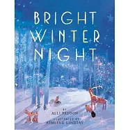 Bright Winter Night