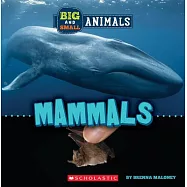 Big and Small: Mammals (Wild World)