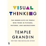 Visual Thinking : The Hidden Gifts of People Who Think in Pictures, Patterns, and Abstractions