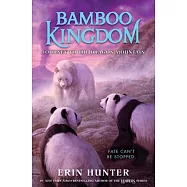 Bamboo Kingdom #3: Journey to the Dragon Mountain