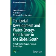 Territorial Development and Water-Energy-Food Nexus in the Global South: A Study for the Maputo Province, Mozambique