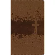 Niv, Kids’ Visual Study Bible, Leathersoft, Bronze, Full Color Interior, Peel/Stick Bible Tabs: Explore the Story of the Bible---People, Places, and H