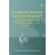 Is Brazil Afraid of the World?: Discussing Brazilian Foreign Affairs and Challenges