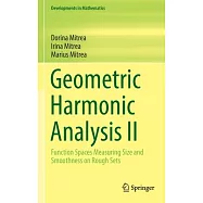 Geometric Harmonic Analysis II: Function Spaces Measuring Size and Smoothness on Rough Sets