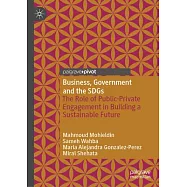 Business, Government and the Sdgs: The Role of Public-Private Engagement in Building a Sustainable Future